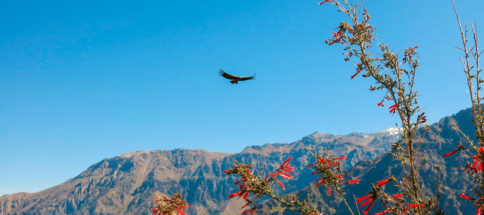 colca-slider-2